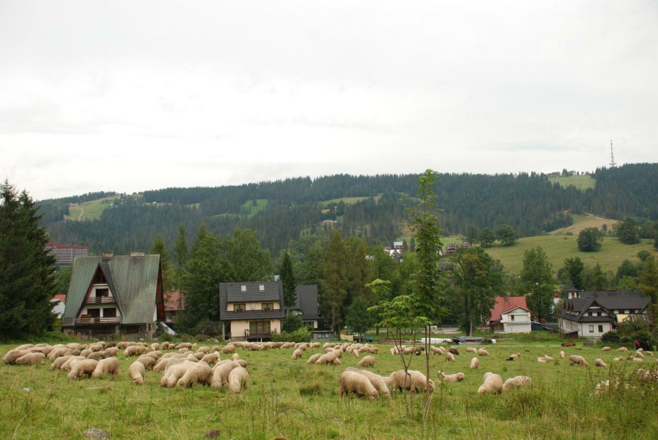 Domek Na Wierchu I Apartament Na Wierchu Zakopane Exterior foto